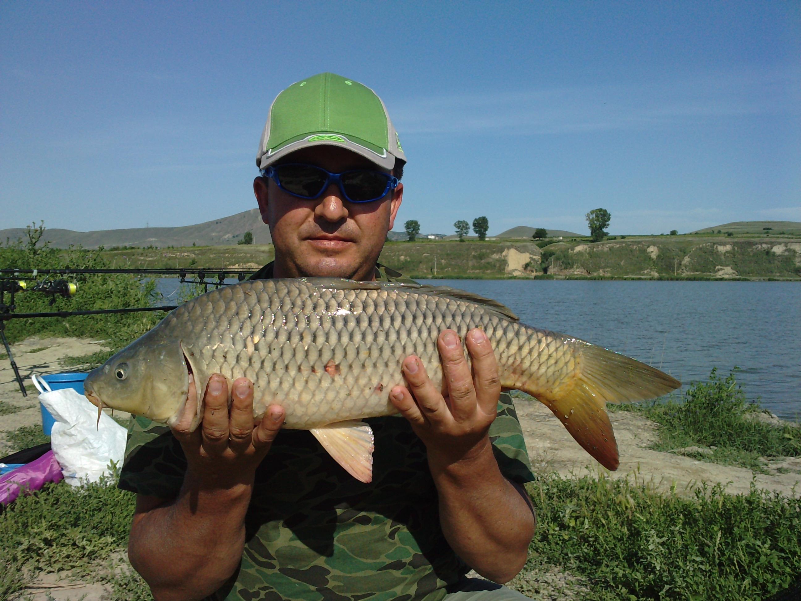 balta turcoaia - P030710_17.260001.JPG